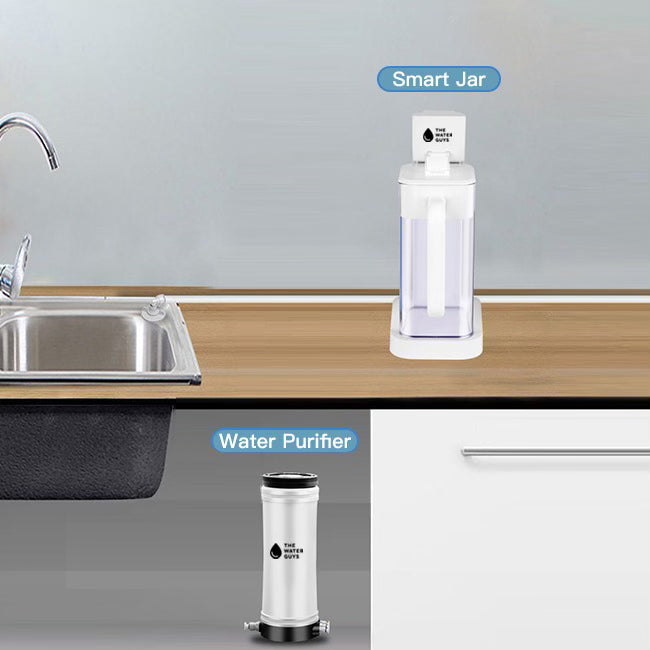 The Water Guys Filter